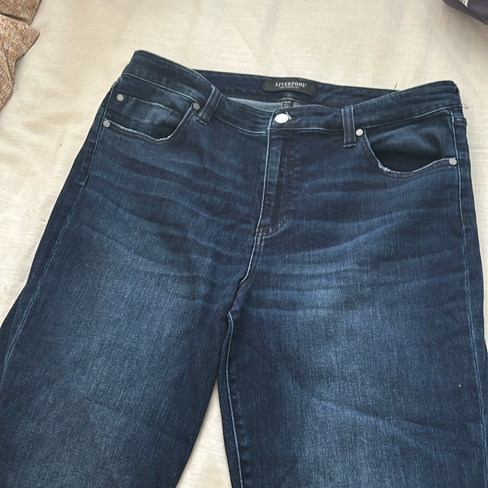 16/33! Liverpool Hannah Crop Flare jeans